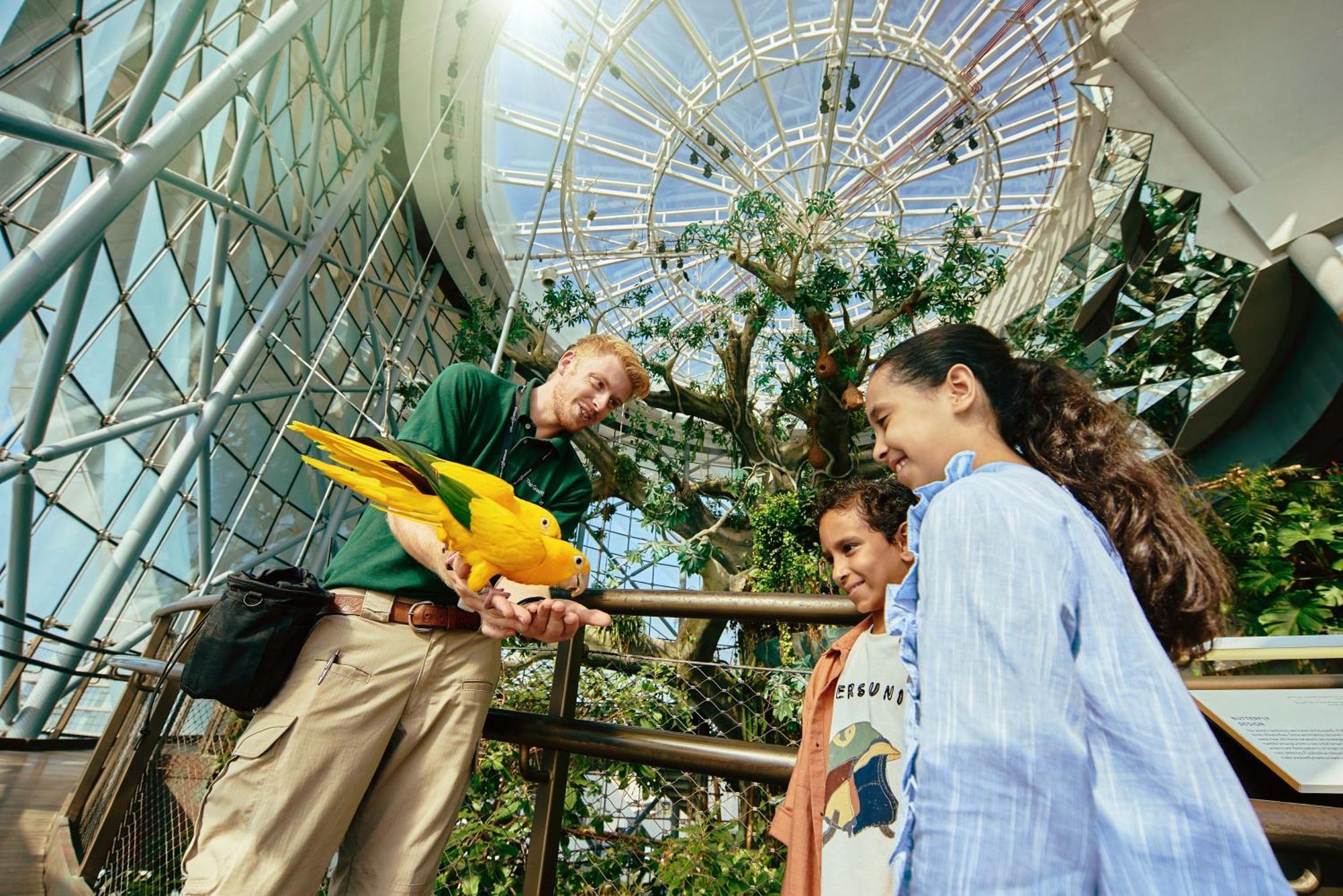 La Ville Hotel & Suites City Walk Dubai, Autograph Collection Zewnętrze zdjęcie The Aviary